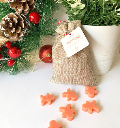 Gingerbread Bliss Wax Melts