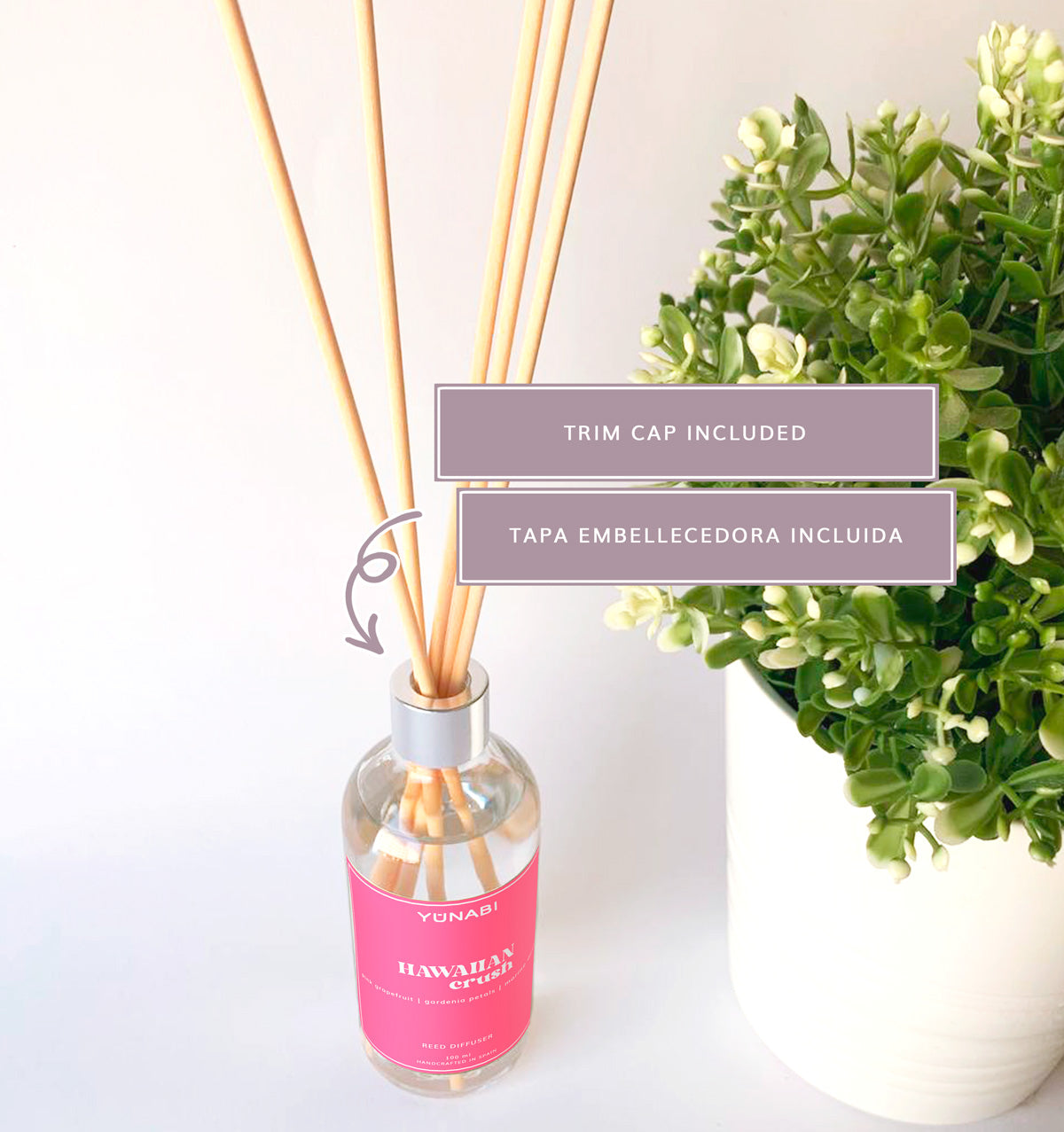 Hawaiian Crush Reed Diffuser 100 ml