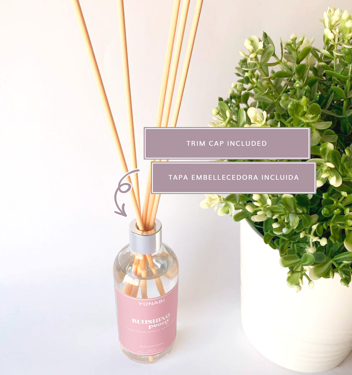 Blushing Peony Reed Diffuser 100 ml