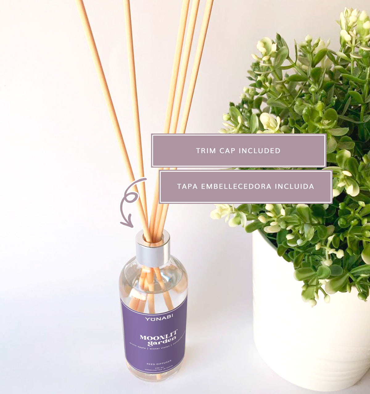 Moonlit Garden Reed Diffuser 100 ml