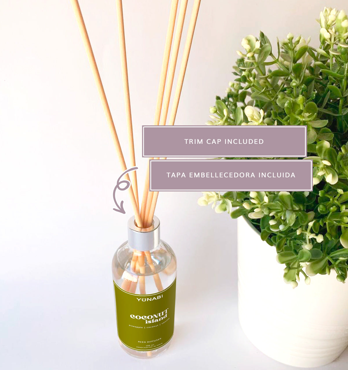 Coconut Island Reed Diffuser 100 ml